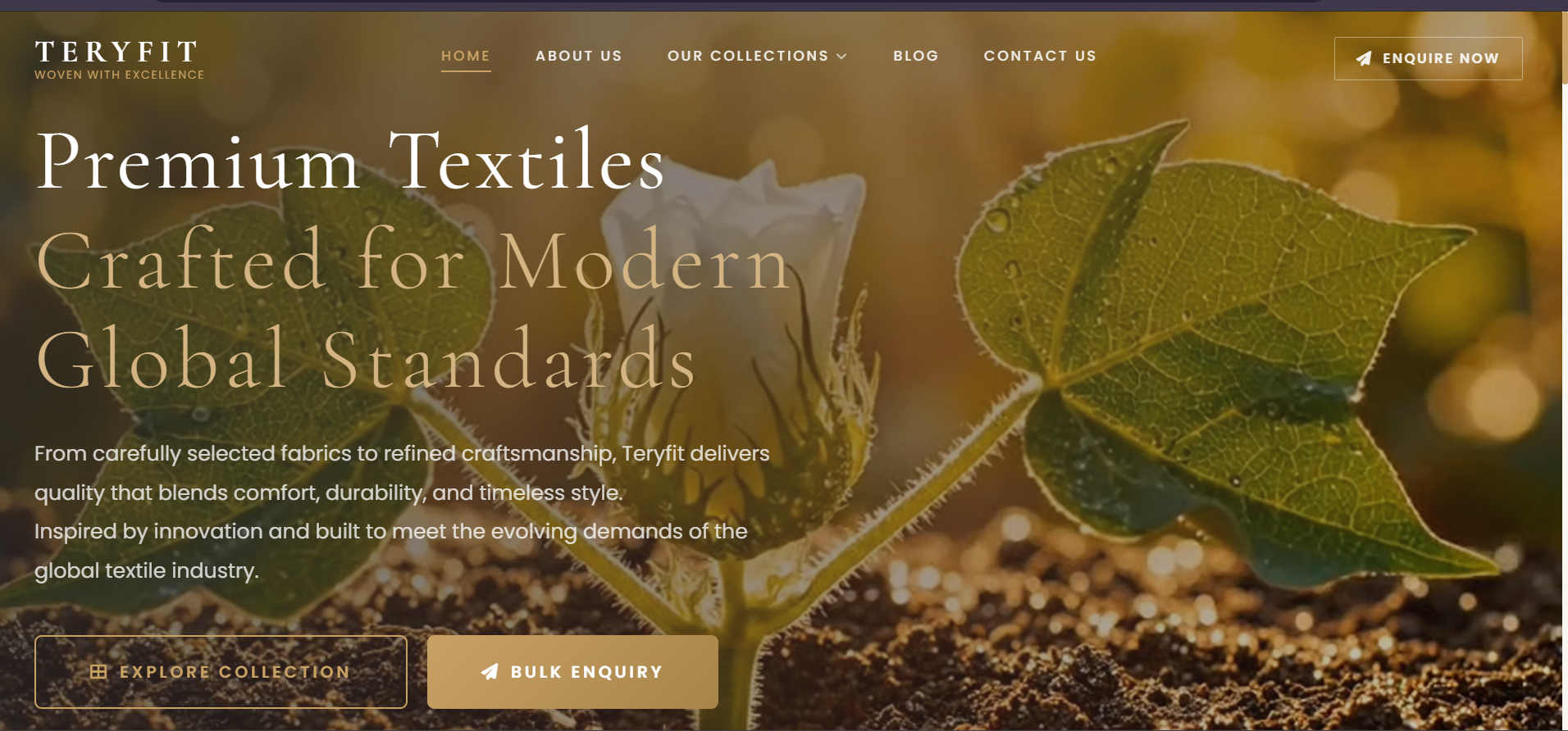 Teryfit homepage